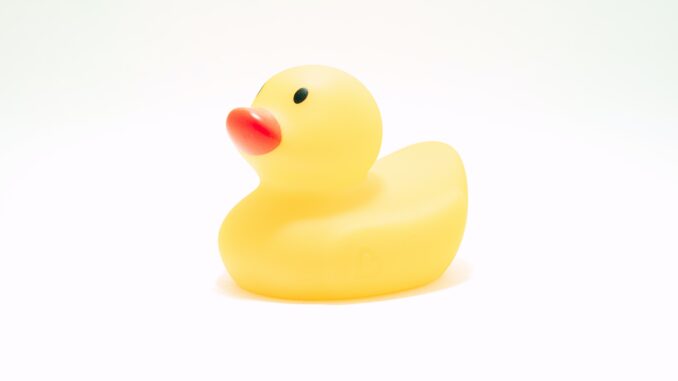 timothy-dykes-LhqLdDPcSV8-unsplash