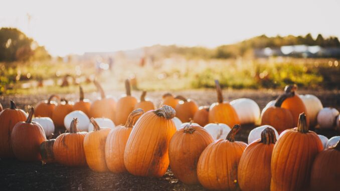maddy-baker-gS32T4TxSJY-unsplash